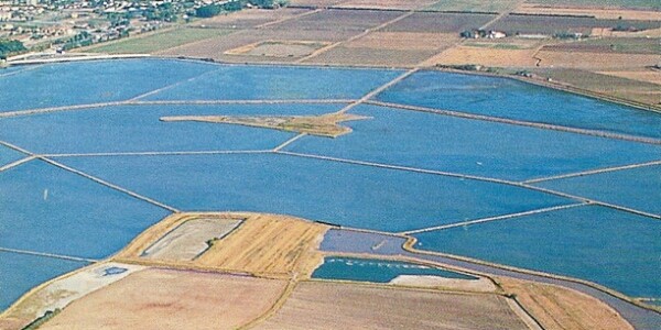 saline_cervia